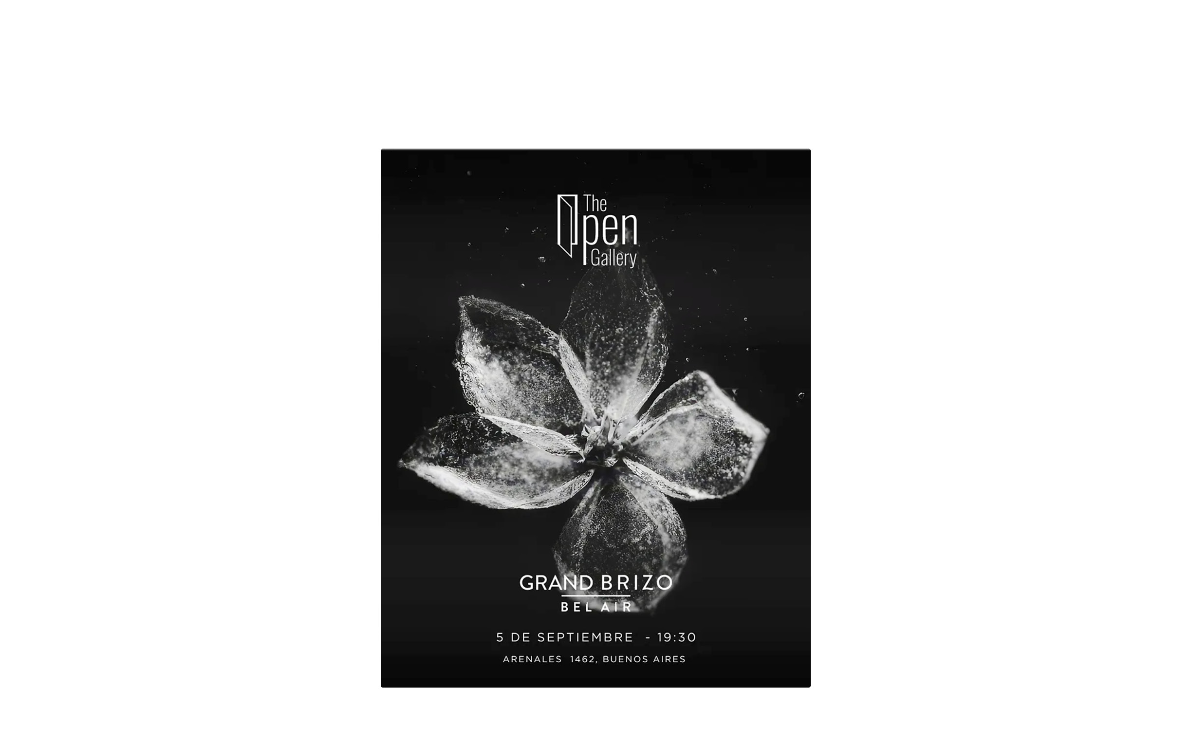 coco-lang_ai-visuals_opengallery_1.jpg