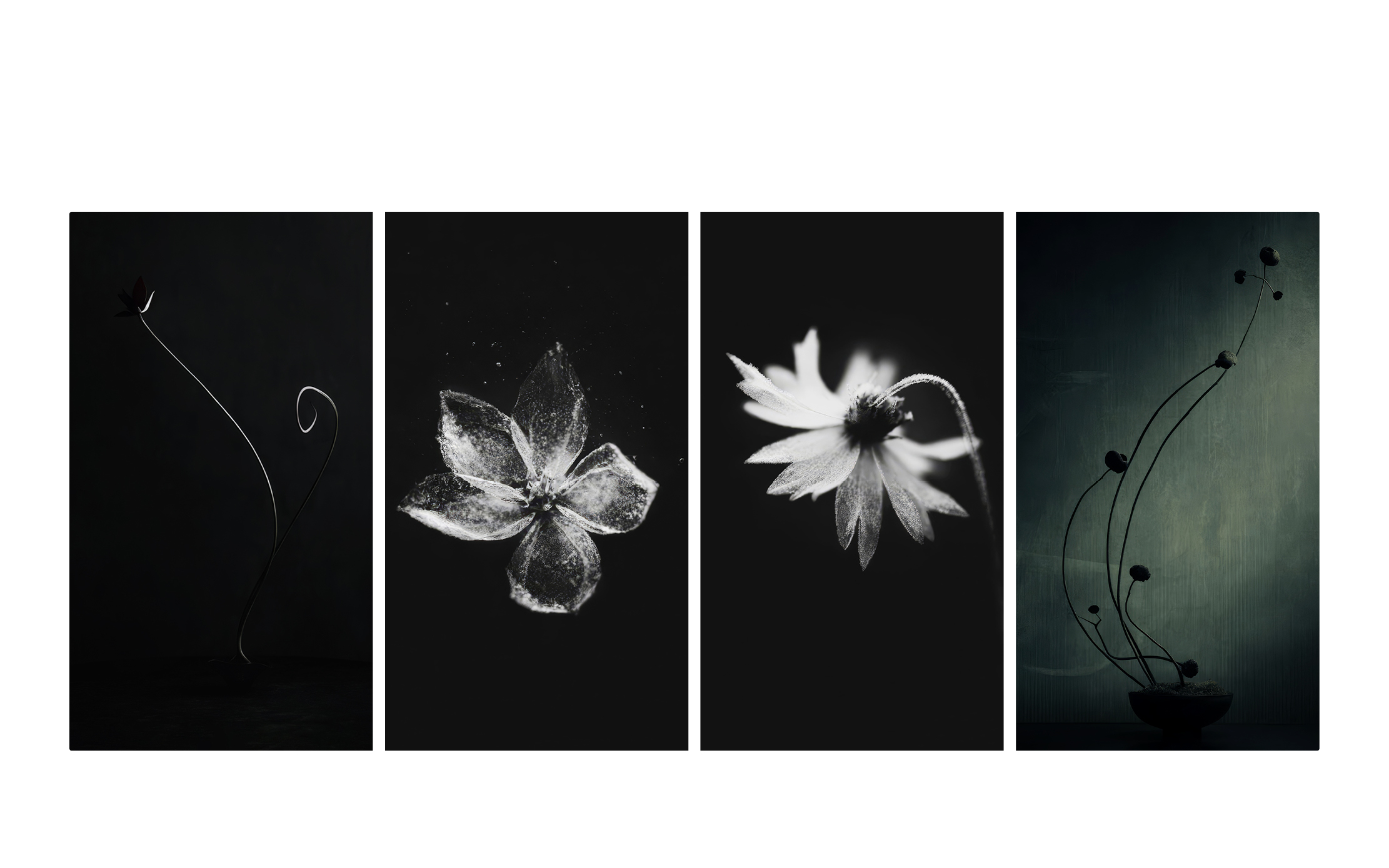 coco-lang_ai-visuals_opengallery_2.jpg