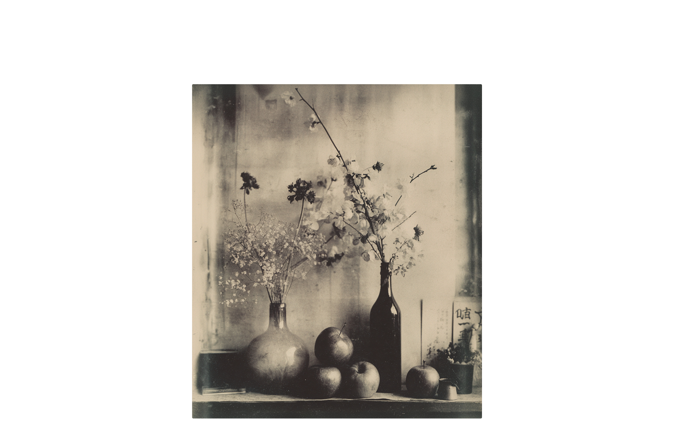 coco-lang_ai-visuals_study_apple_2.jpg