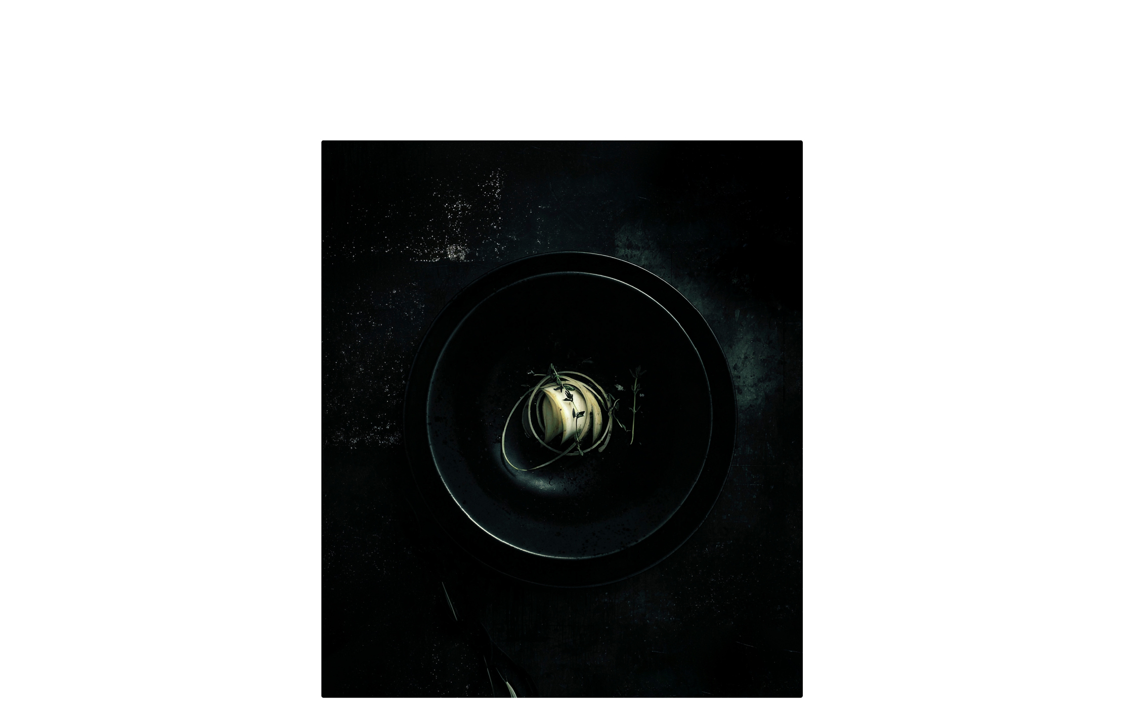 coco-lang_ai-visuals_study_apple_5.jpg