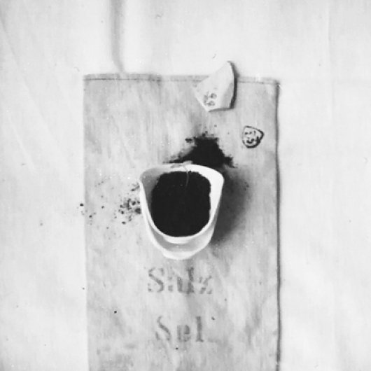 coco-lang_photography_polaroid_v_1.jpg