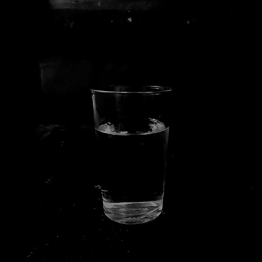 coco-lang_photography_yin_v_2.jpg